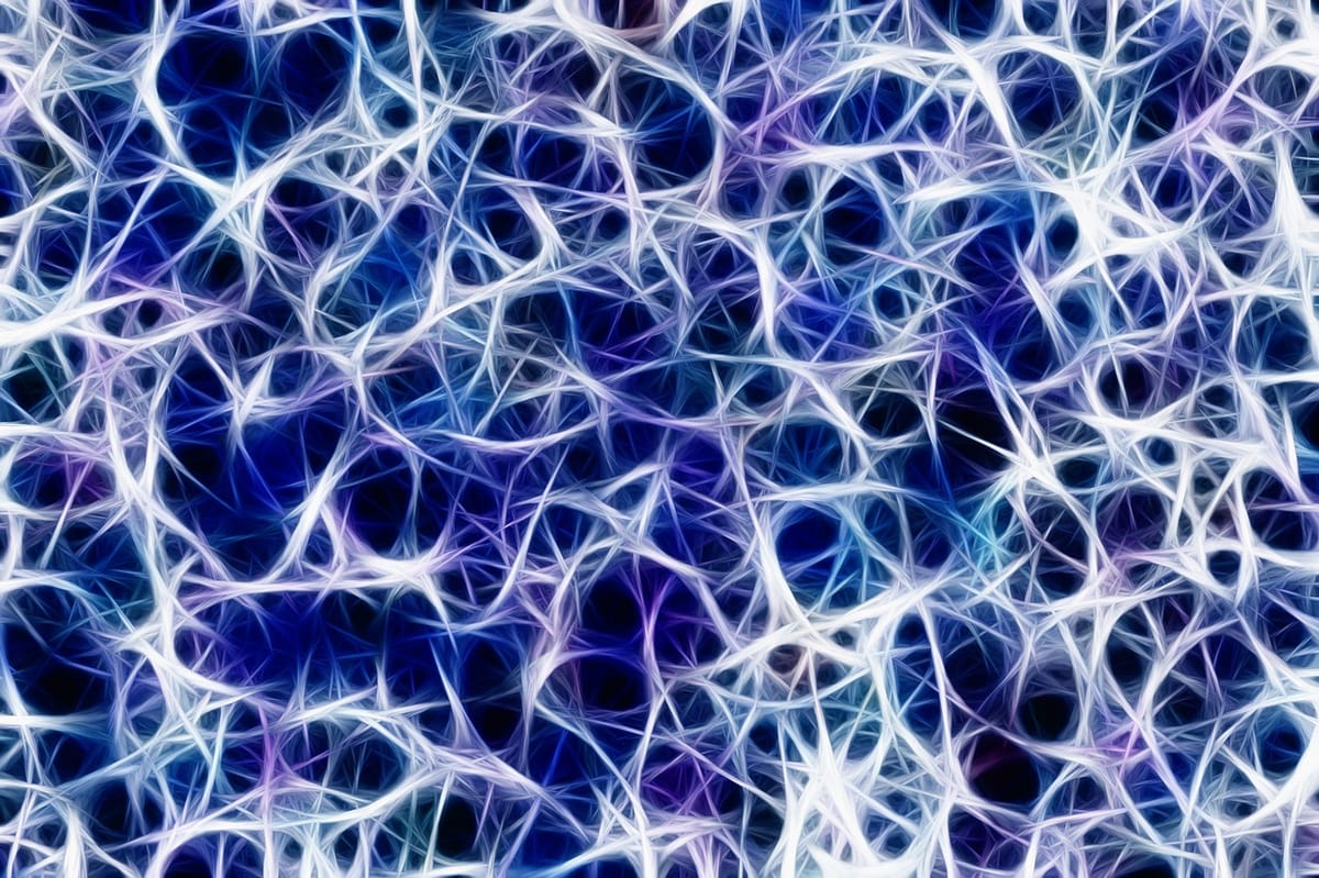 What Happens When Your Nervous System Says Enough