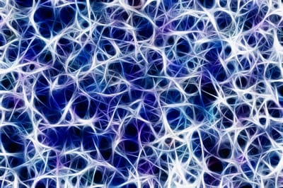 What Happens When Your Nervous System Says Enough